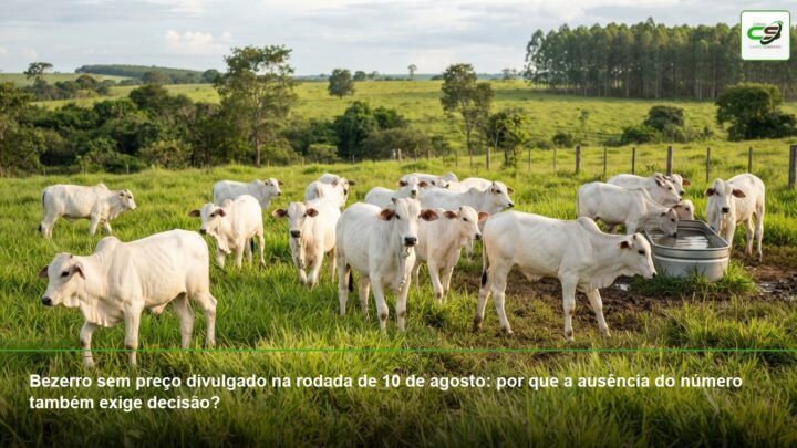 co-inoculação da soja, Bradyrhizobium, Azospirillum brasilense, nodulação, soja no Cerrado, Safra 2026/27