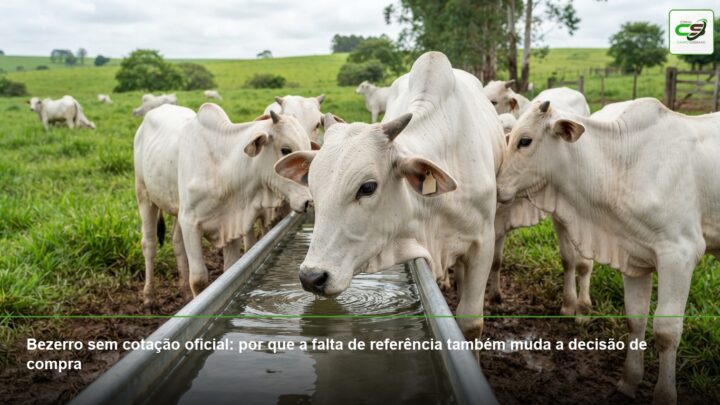 cetose bovina, vacas leiteiras, BHB, período de transição, propilenoglicol, pós-parto, saúde do rebanho
