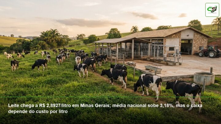 cetose bovina, período de transição, BHB, vacas leiteiras, propilenoglicol, balanço energético, saúde do rebanho