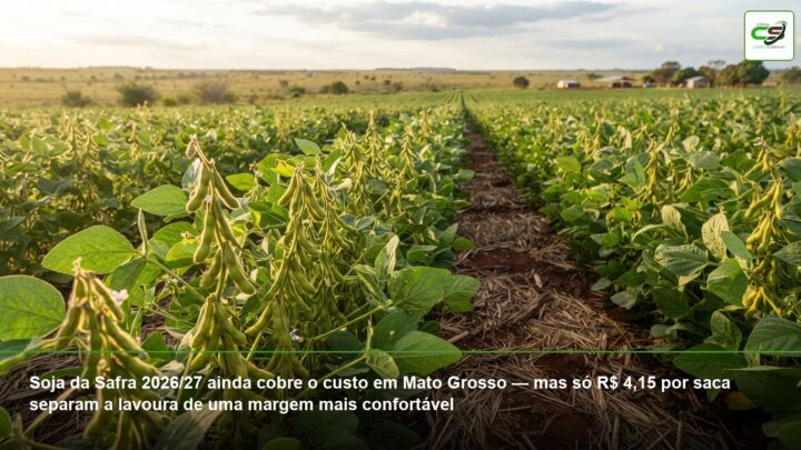 nutrição de precisão, TMR para vacas leiteiras, suplemento de novilhas Nelore, Compost Barn, capim Mombaça, fibra efetiva