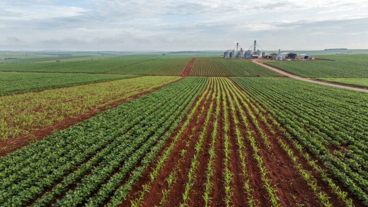 Safra 2026/27, Conab, produção de grãos, soja, milho, armazenagem, logística agrícola, comercialização