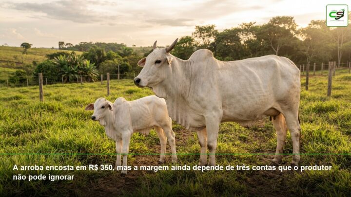co-inoculação da soja, Bradyrhizobium, Azospirillum, fixação biológica, nodulação, manejo da soja, Safra 2026/27