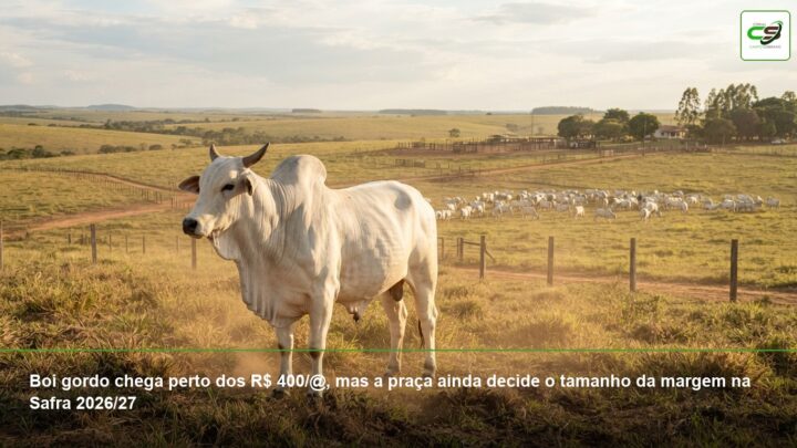 Safra 2026/27, produção de grãos, soja, custos agrícolas, armazenagem, margem rural
