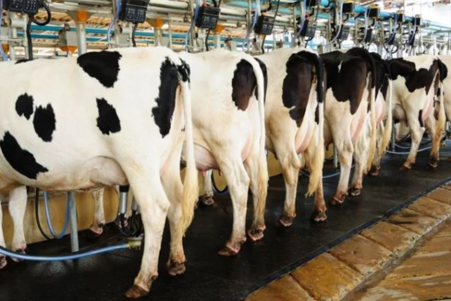 Preço de referência do leite no RS em março é 1,14% superior ao de fevereiro • Portal DBO