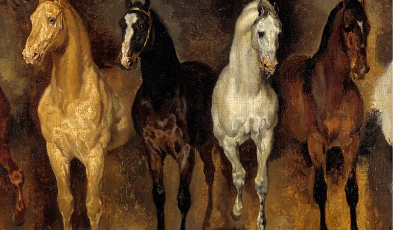 O cavalo e a humanidade como os equinos ajudaram na construção da história