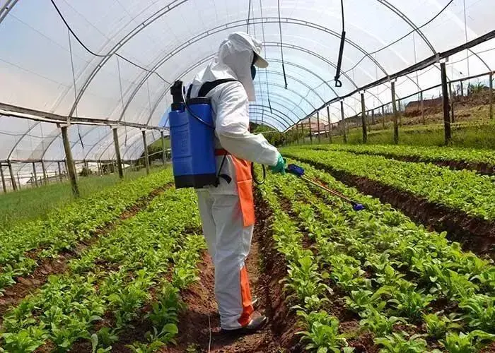 Herbicida: 7 métodos eficazes para aumentar produtividade